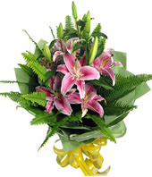 3 Pink Lilium with rich green foliages