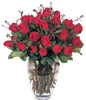 24 Stems Red Rose With a Vase