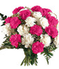 12 Pink Carnations and 12 White Carnations