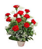 11 Red Carnations in Vase
