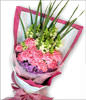 12 pink carnations