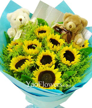 9 Sunflowers,a pair of Teddy bear