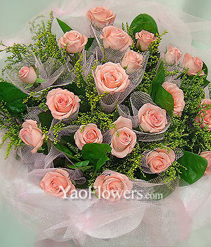 22 Pink roses