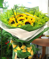 12 Sunflowers