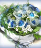 11 Blue Roses