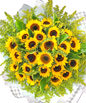 26 Sunflowers