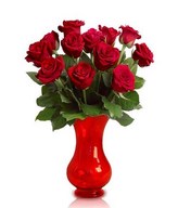 12 Long Stem Roses in Vase