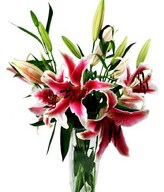 Stargazer lilies and greens for a vase arrangement