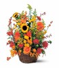 basket arrangement of chrysanthemums, gerberas, lilies, sunflowers with seasonal greens and fillers