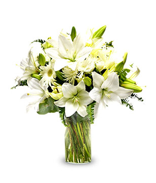 Pure Emotion: white lilies & gerberas