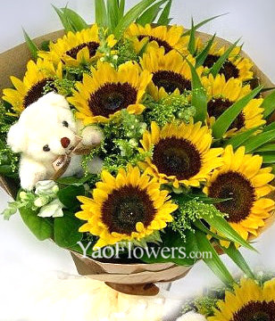10 Sunflowers with A bear