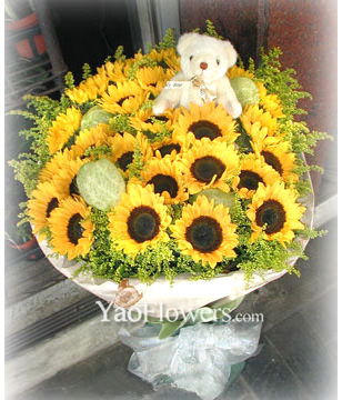 33 Sunflowers,A bear