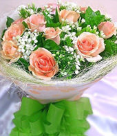 11 Pink roses