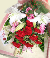 10 Red carnations,3 Pink lilium