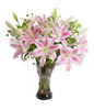 6 Pink LIlies,Green Leaves,Vase included 