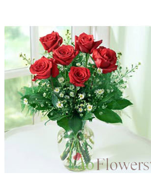 6 Red roses,Vase included