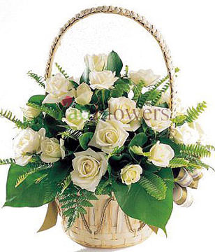22 white roses, green leaf, oriole