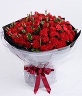 99 Red Carnations