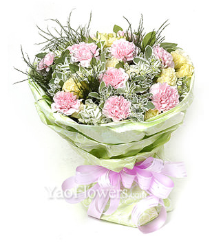 12 pink carnations