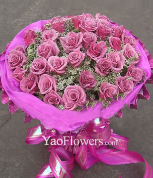 36 Purple roses