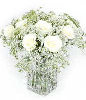 11 White(light yellow) roses