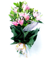 6 Pink Lilies