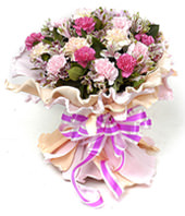 6 pink carnations,6 purple carnations,6 Lace Carnation