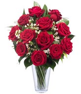 Love Knows No Frontiers: 15 Red Roses