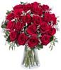 Sweet Passion: 20 Red Roses