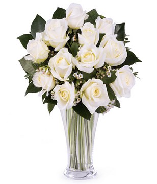 Pure and Innocent Love: 12 white roses