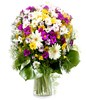 Cheerful Daisies: multicolor