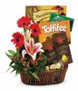 Assorted Chocolates & Arrangement of lilies and gerberas in a basket