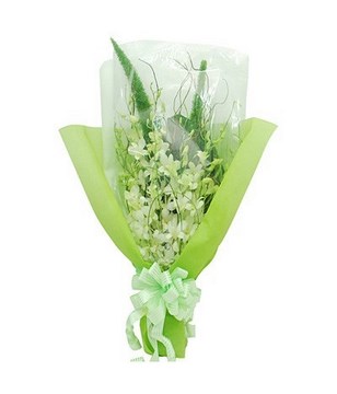 Bouquet of 10 stalks White Orchid