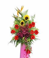 Bird Of Paradise, Red Gerbera, Red Orchid & Sunflowers