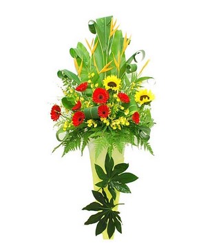 Heliconia, Sunflowers, Red Gerbera & Dancing Lady