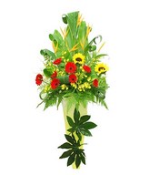 Heliconia, Sunflowers, Red Gerbera & Dancing Lady