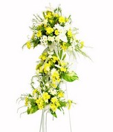 Flower Arrangement of White & Yellow Flowers - Anthurium, Daisy, Pompom & greens
