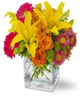 Basket of colorful gerberas, lilies and buttons