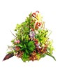 Basket of colorful orchids