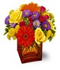 Assortment of flowers in vase