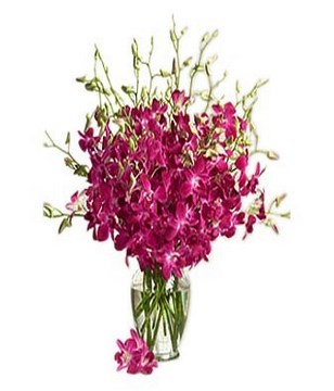 Flower bouquet of Lavender orchids