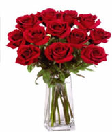 12  Premium Rose (Long Stem) & Vase