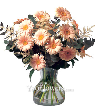 16 Pink Gerbera Daisies With a Vase