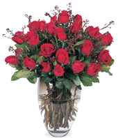 24 Stems Red Rose With a Vase