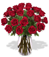 24 Red Roses With a Vase