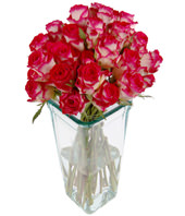 24 Pink And Red Roses In Vase 