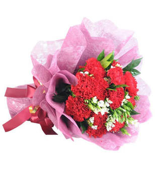 Bouquet of 12 Red Carnations