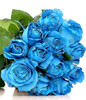 Hand Bouquet of 12 Blue Roses