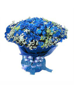 36 Blue Roses