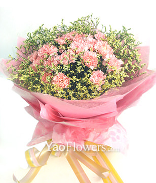 22 pink carnations